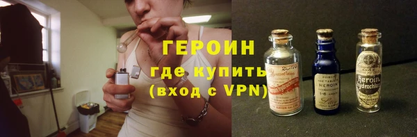 прущие грибы Магадан