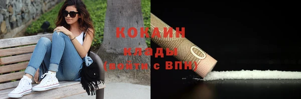 круглые Пересвет