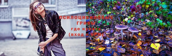 скорость mdpv Магас